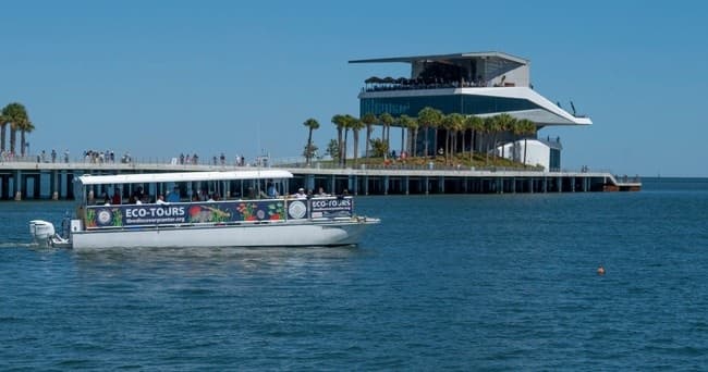 Wildlife Boat Tour of Tampa Bay