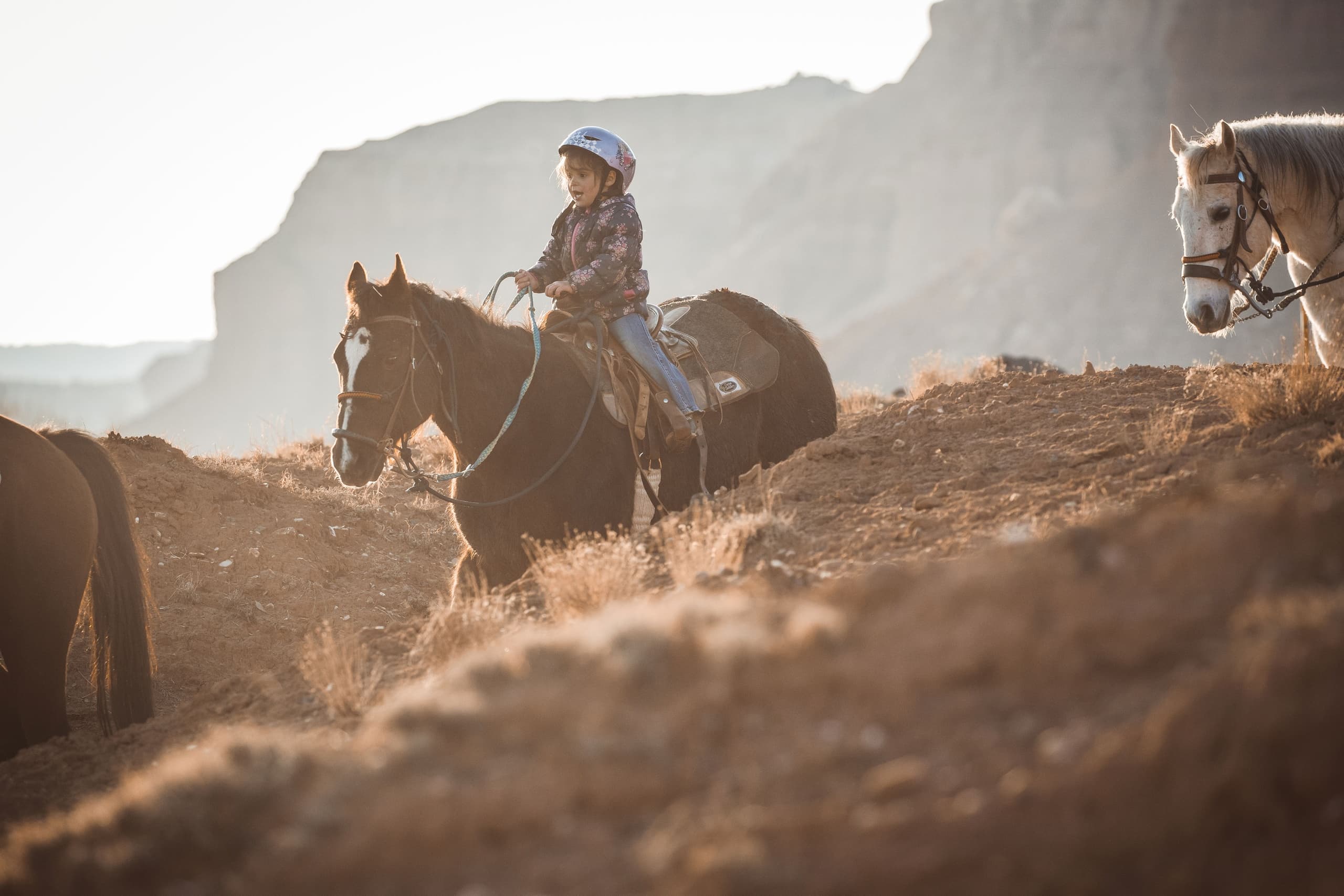 1 Hour Guided Horse Ride