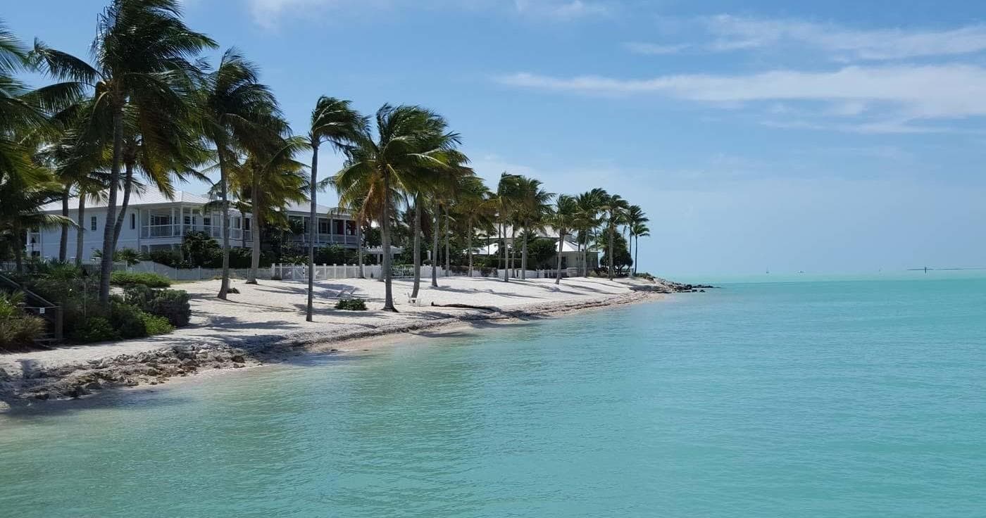 Wild Lime Adventures™ Florida Keys Marine Eco Adventure