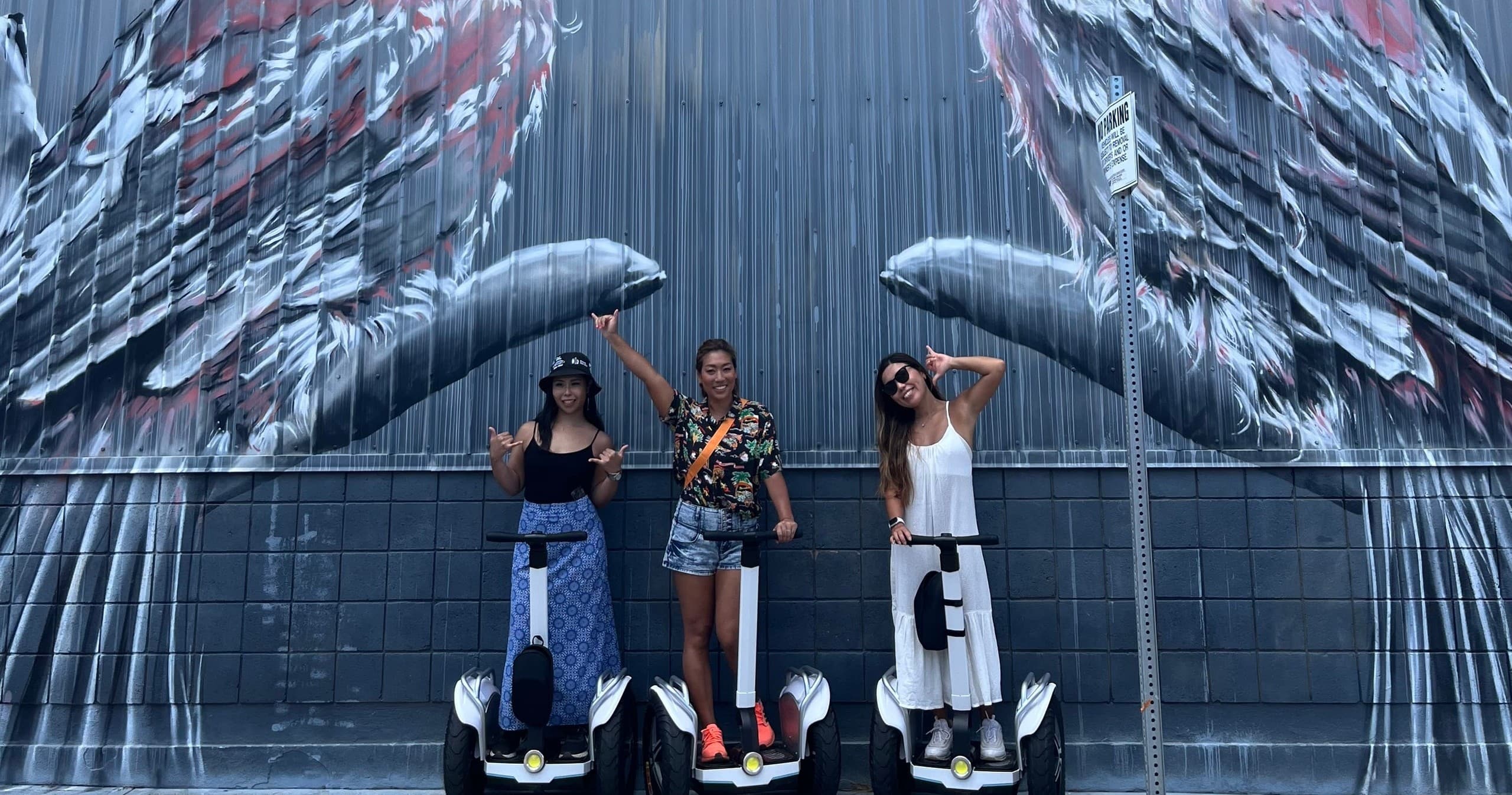 Kakaako Wall Art Course (70 minutes)