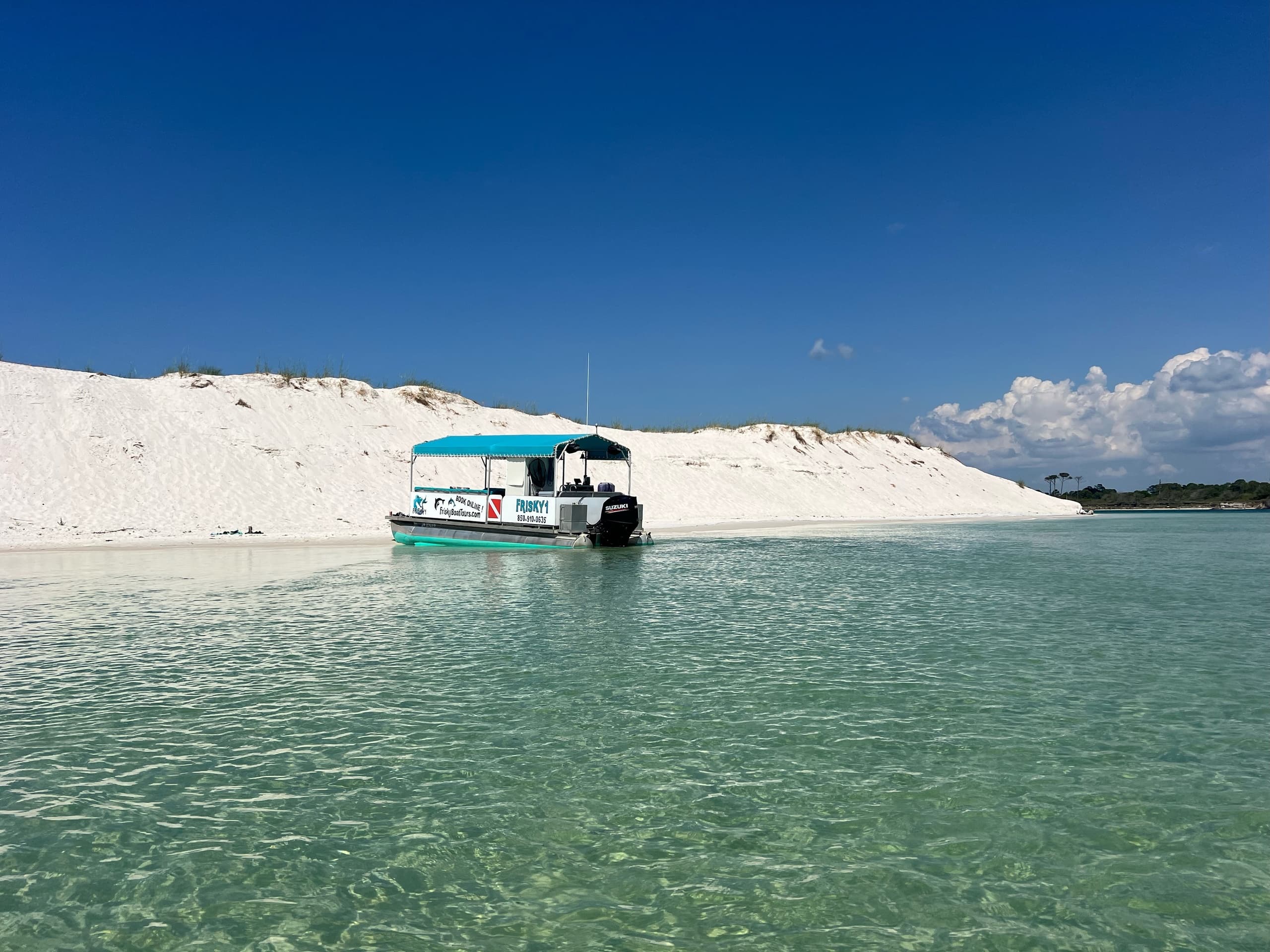 Dolphin & Scenic Bay Sightseeing Tour: Up to 6 People