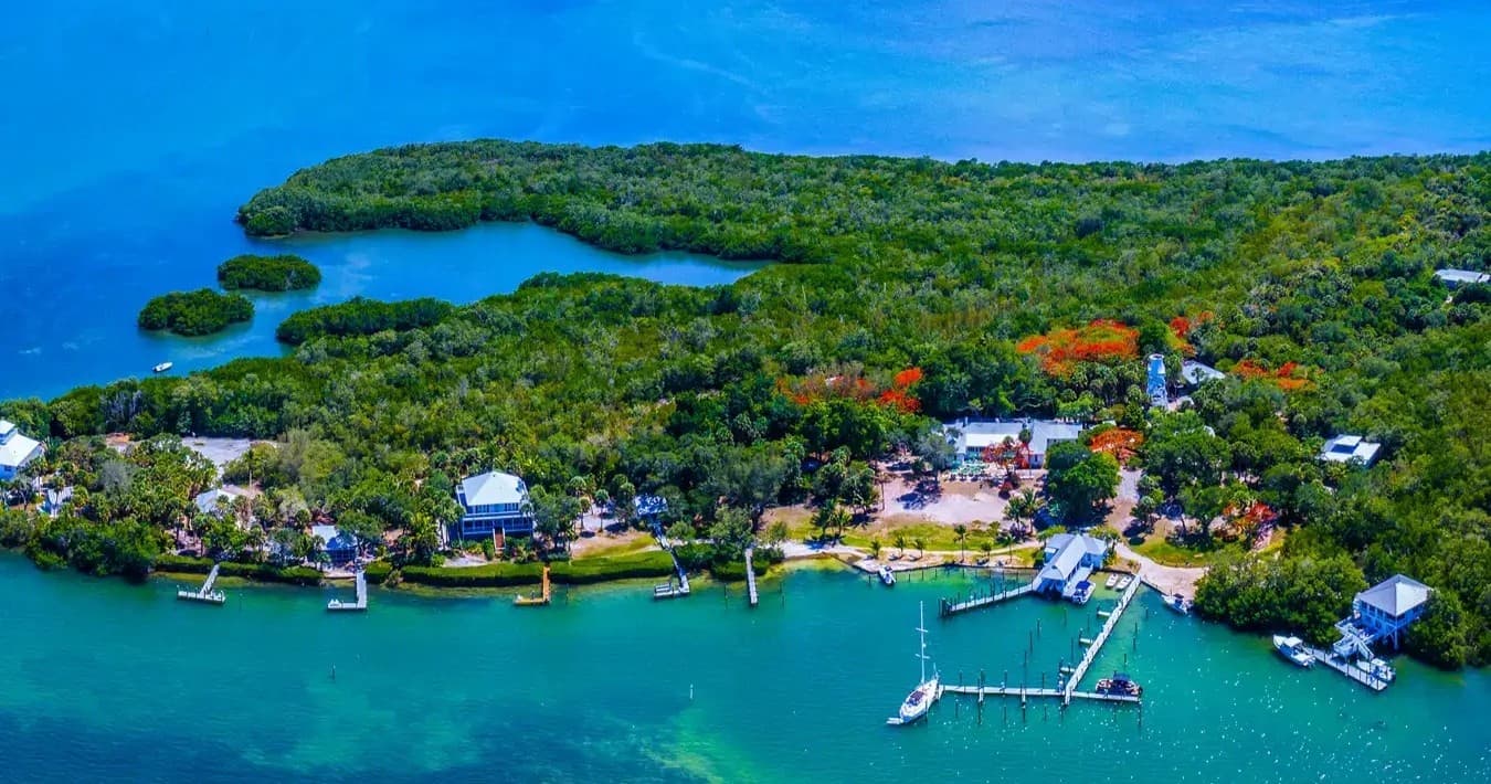 Cabbage Key Island Lunch & Sandbar Tour