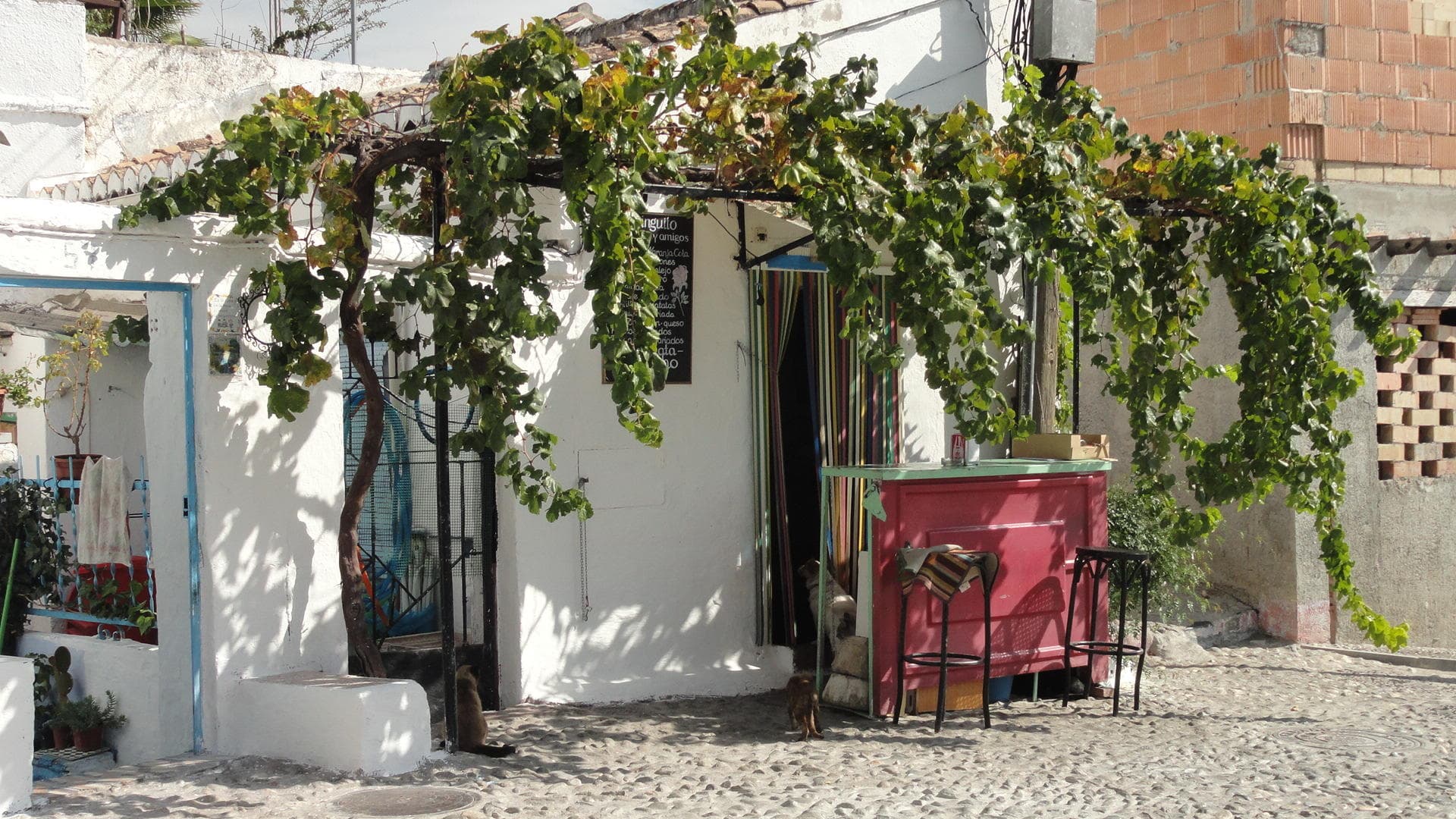 Visita : El  Sacromonte ,cuevas flamencas con Guía Oficial