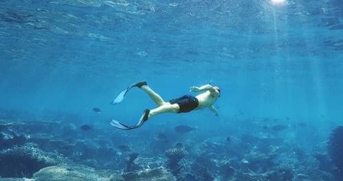 Snorkeling & Shelling Adventure