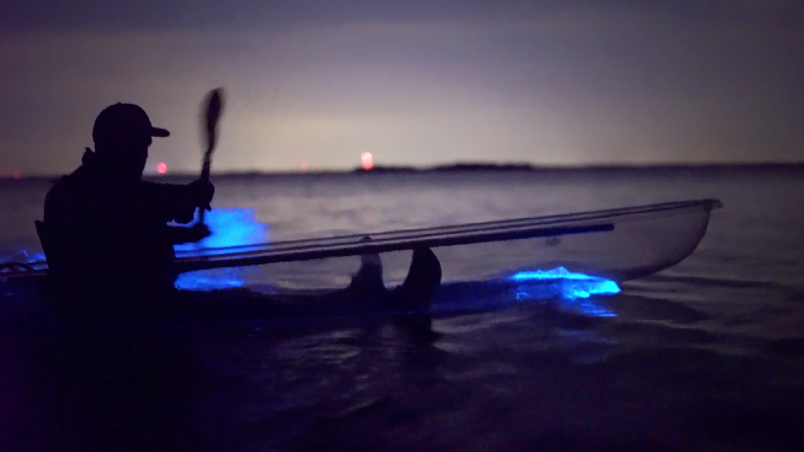 Florida Bioluminescence Clear Kayak Tour • Cocoa Beach (Kiwanis Island)