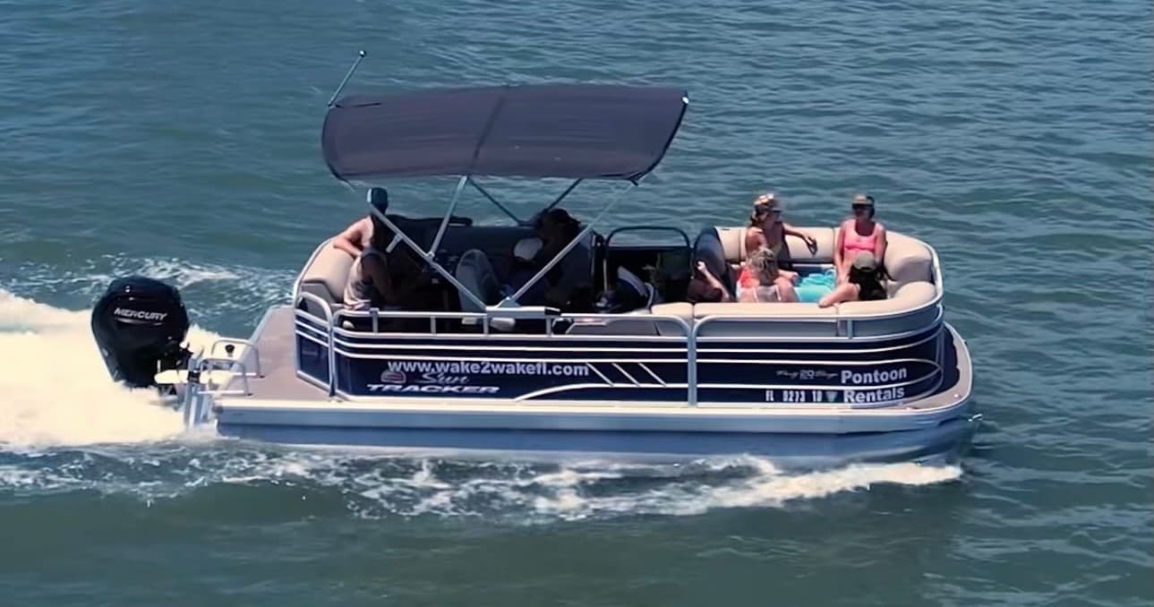 Shared Dolphins & Historical Sightseeing Tour