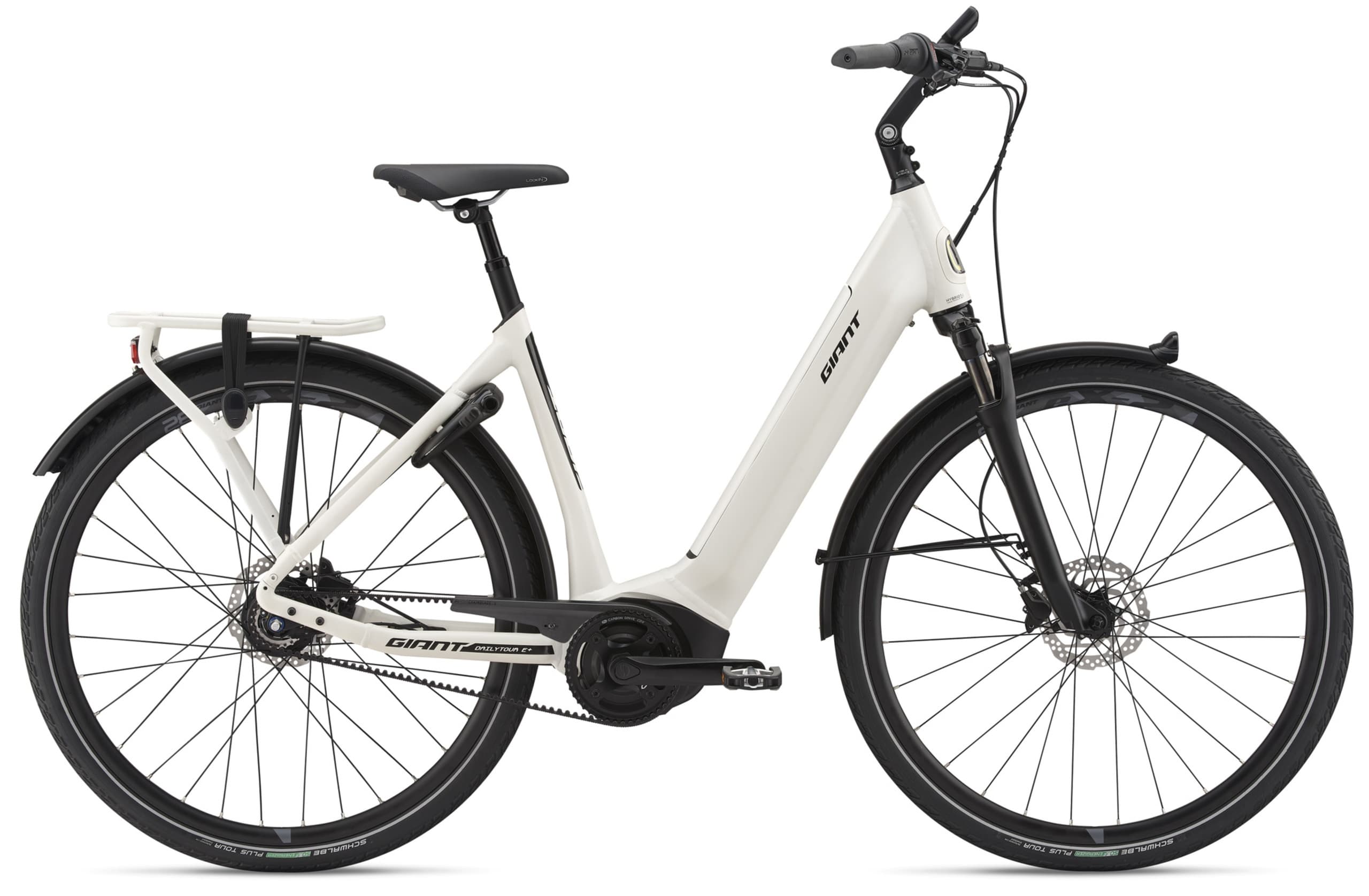 Three Hour Bike  Rental