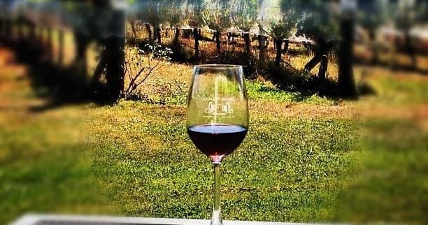 Half-Day Wine Tour