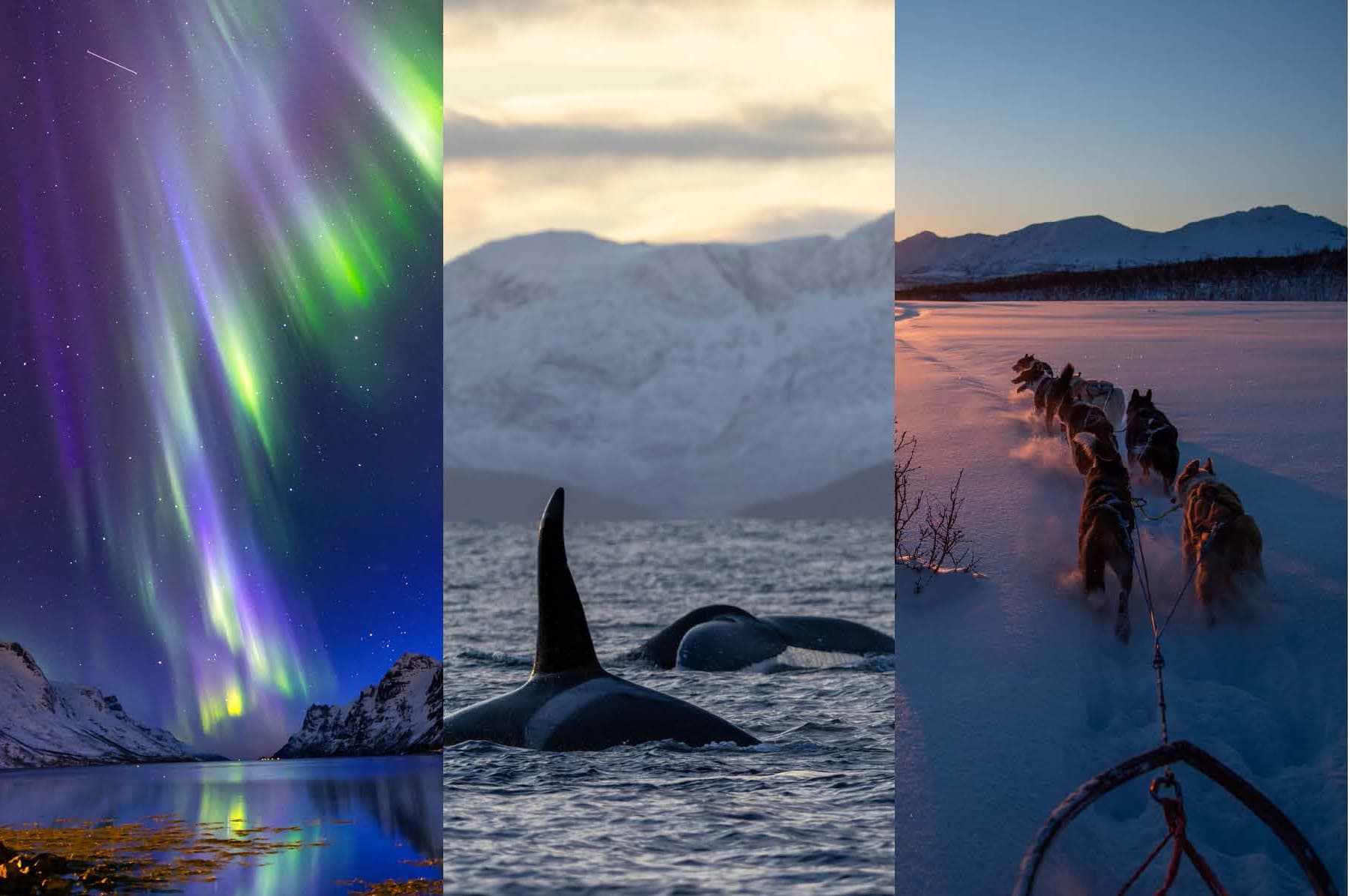 The Best of Tromsø