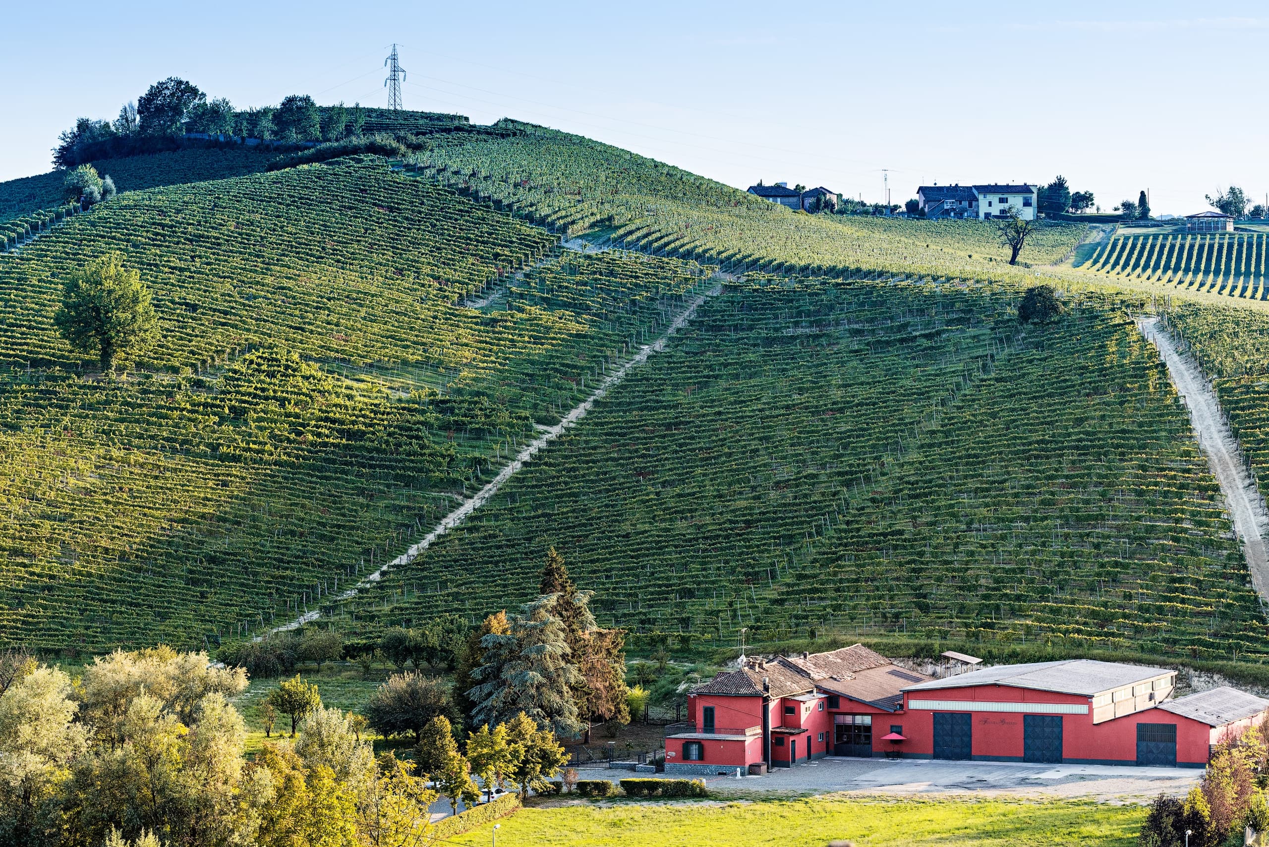 Monferrato: Visita guidata in cantina e degustazione di vini