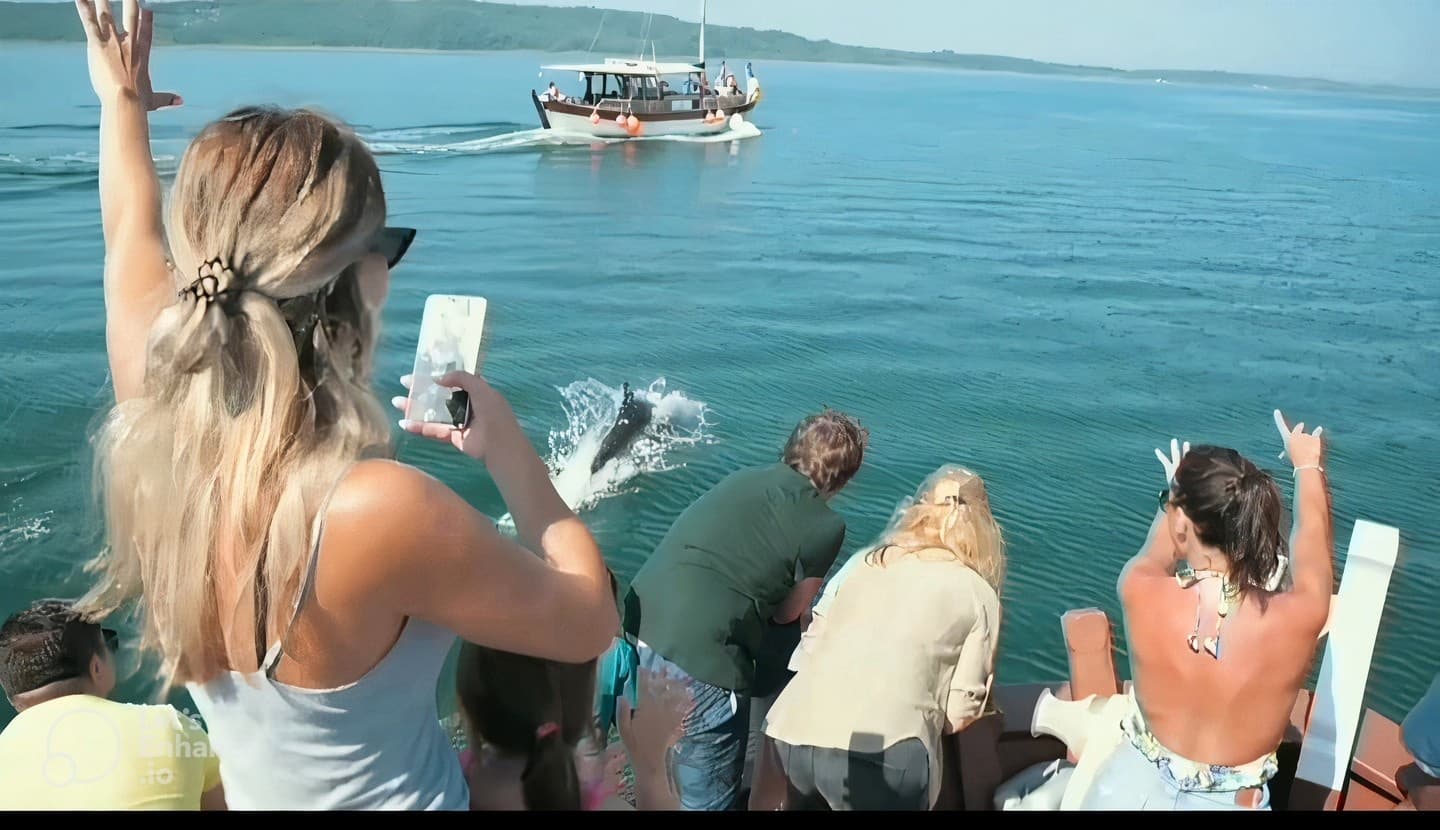 Amvrakikos Dolphin Cruise