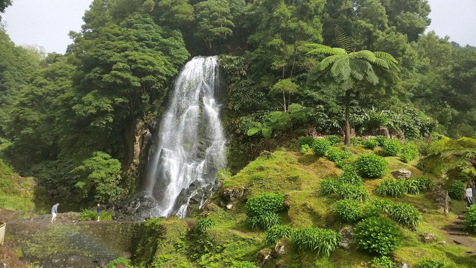 Private Tour 6 Nordeste Area & Waterfall