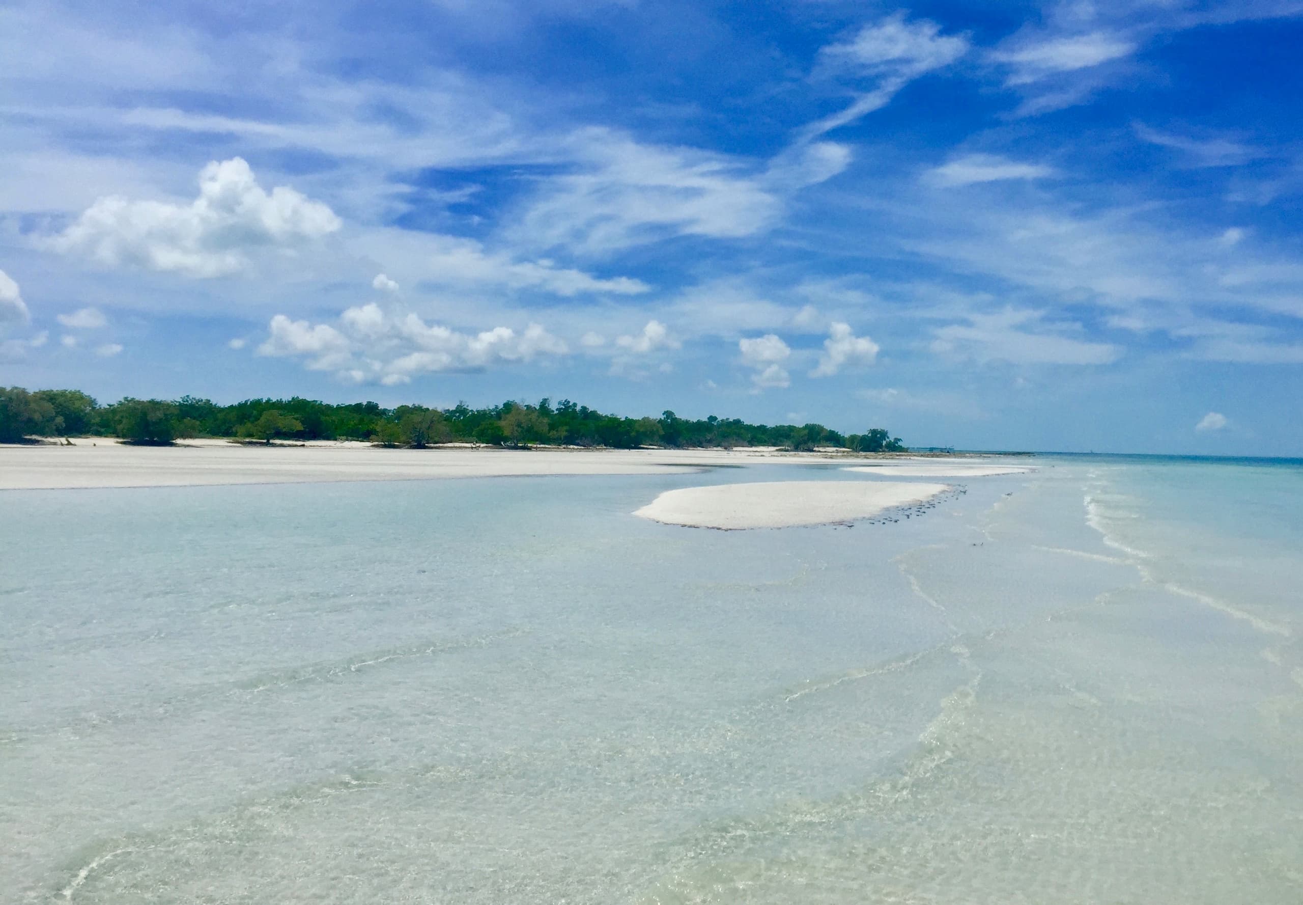 Sandbar Tour