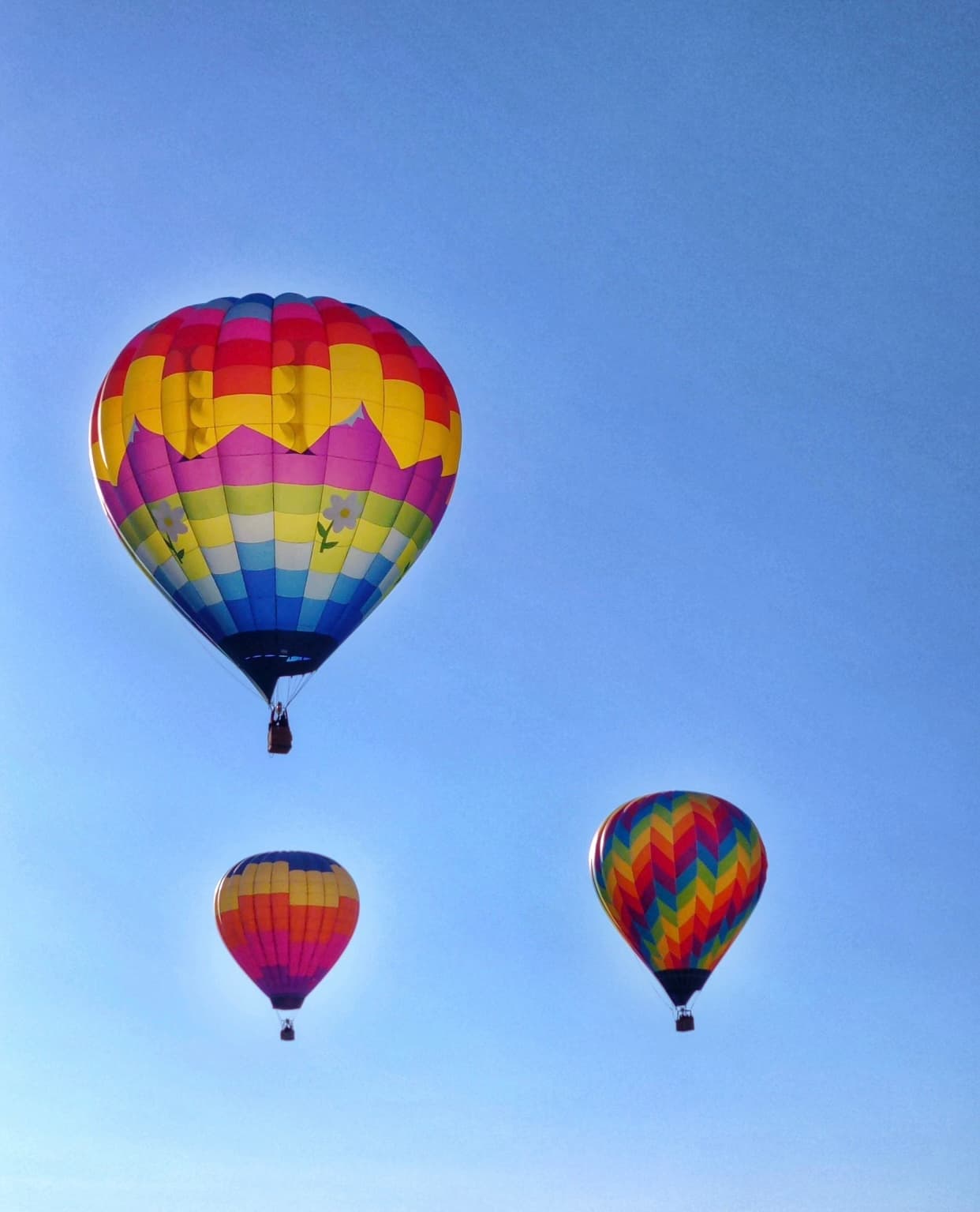 Life Cycle Balloon Adventures - Hot Air Balloon Ride
