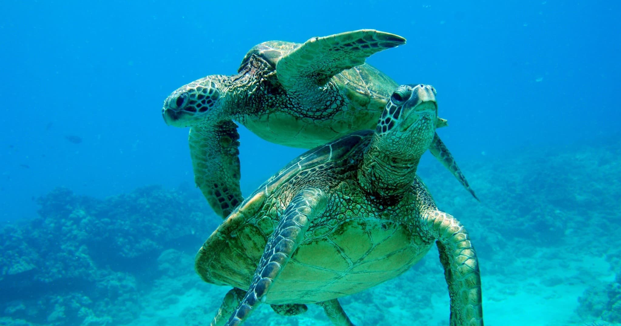 West O’ahu combo - Palehua Hike, Sail and Snorkel