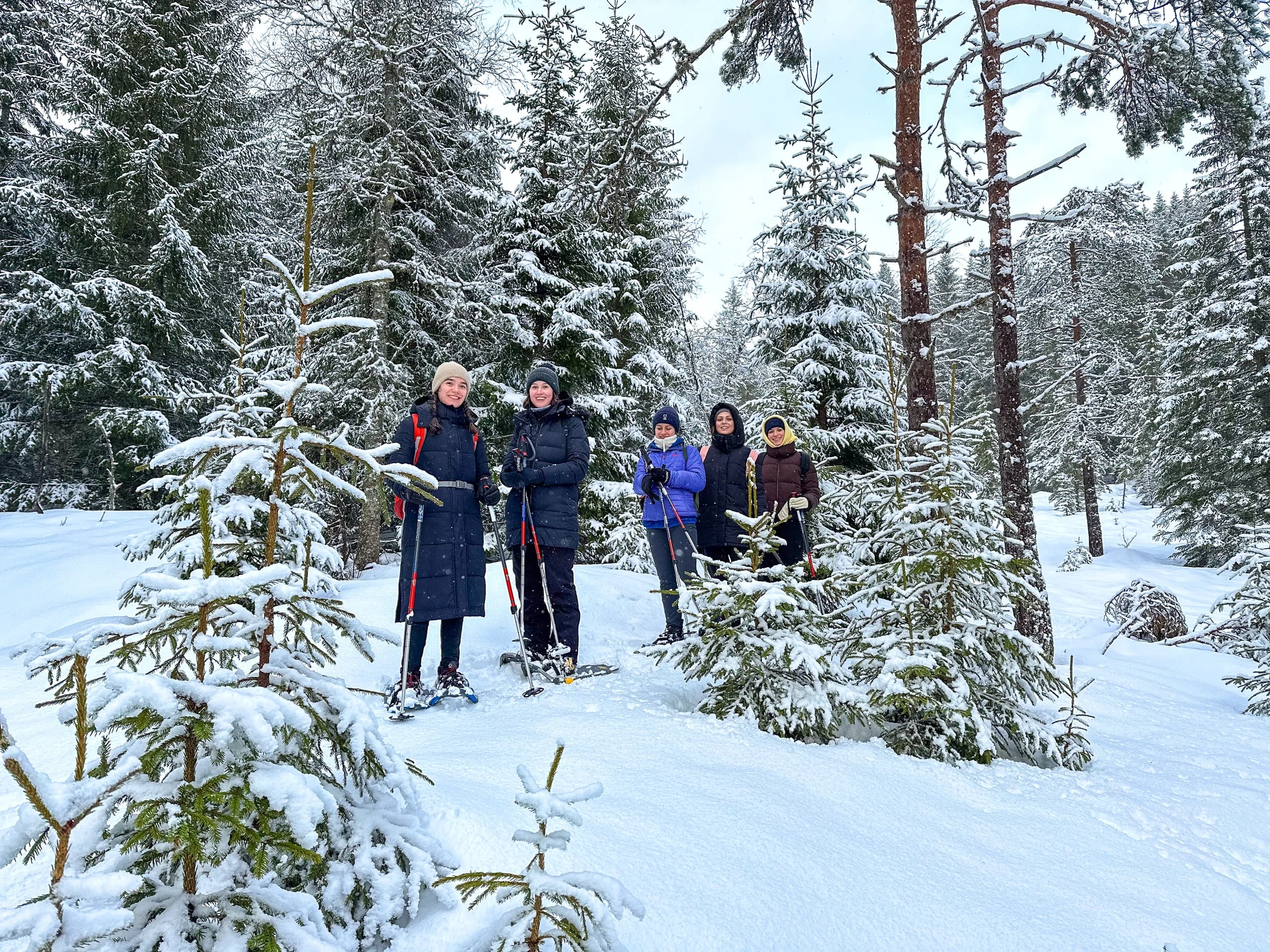 Rental | Snowshoes