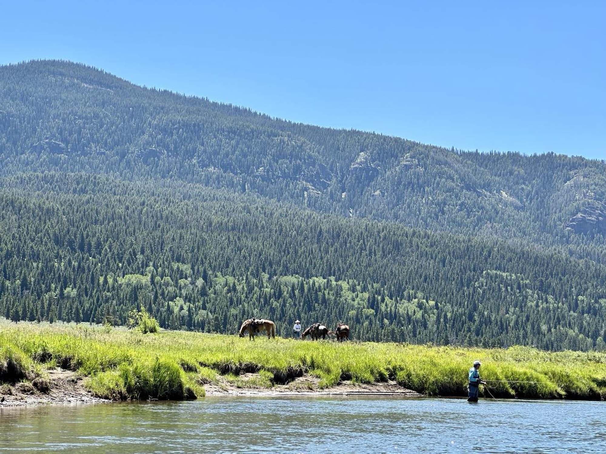 Fly Fishing Horseback Day Trip