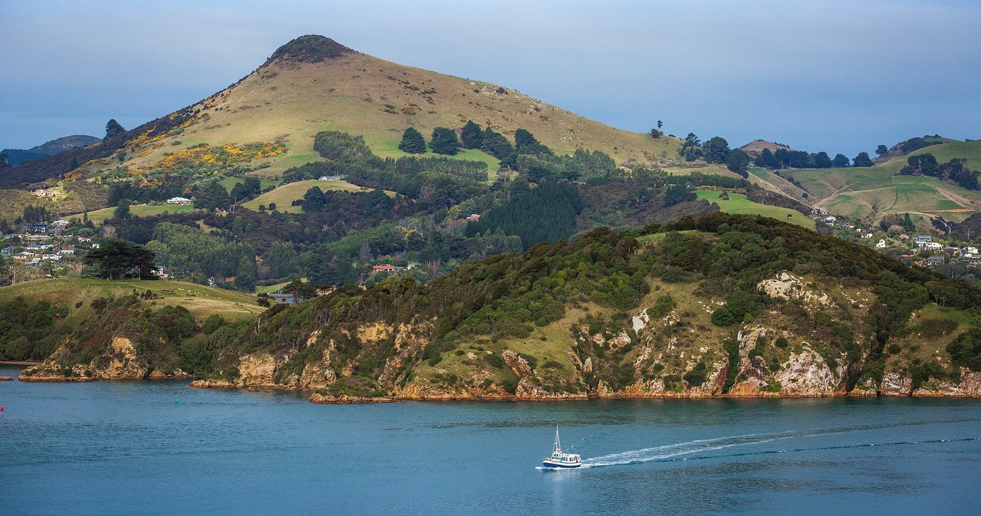 City to Sea Wildlife Cruise