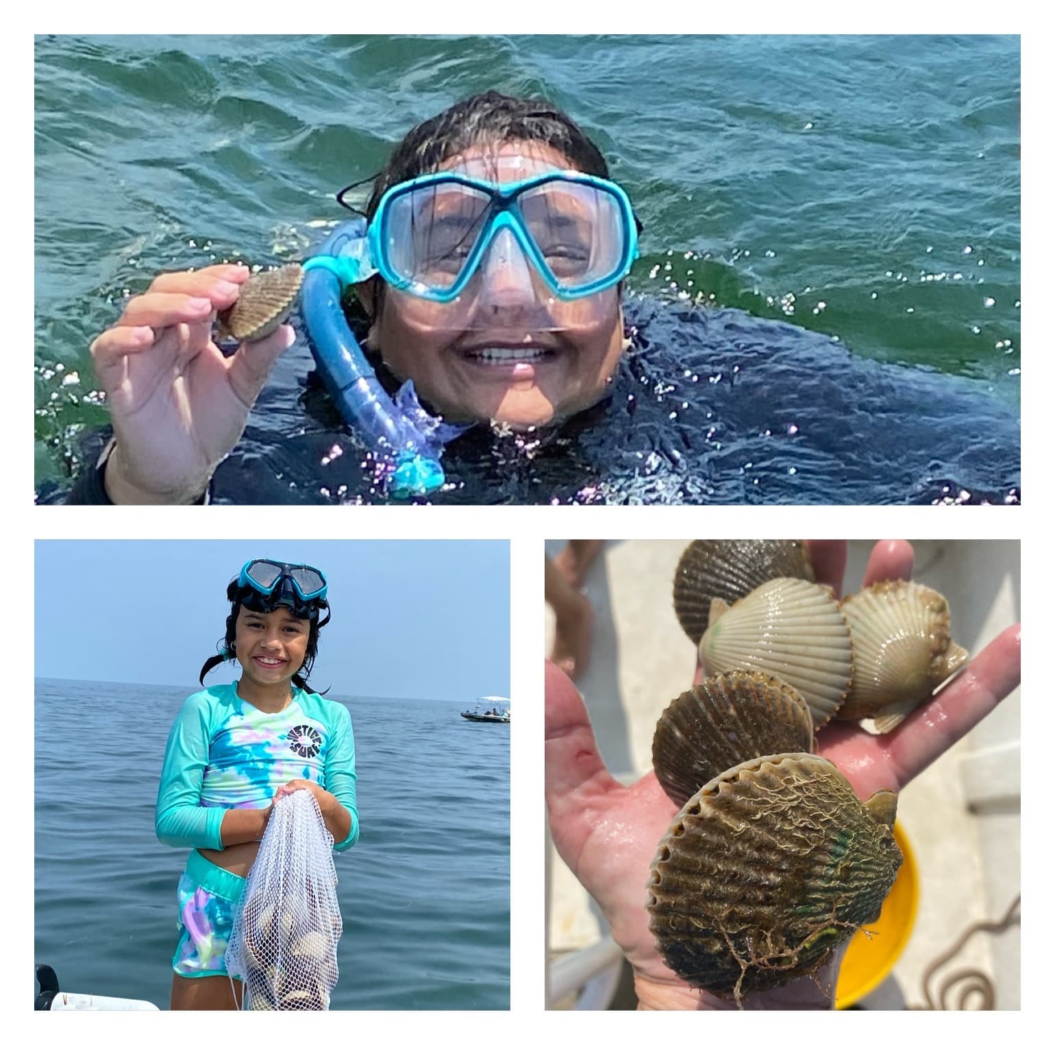 Scallop Trips