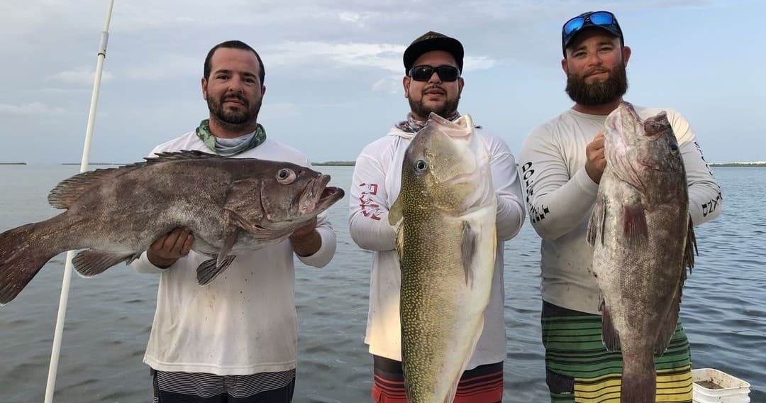 Offshore Fishing