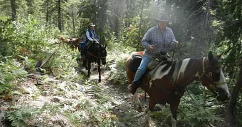 Half Day Trail Ride