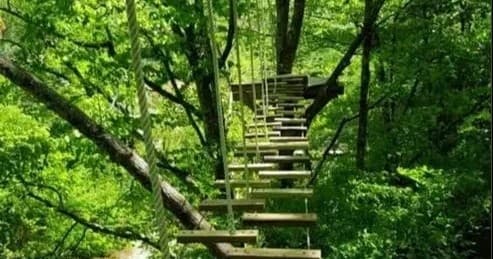 Ropes Challenge Course
