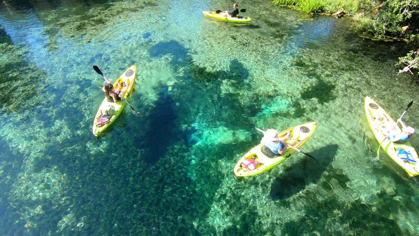 Kayak Rental