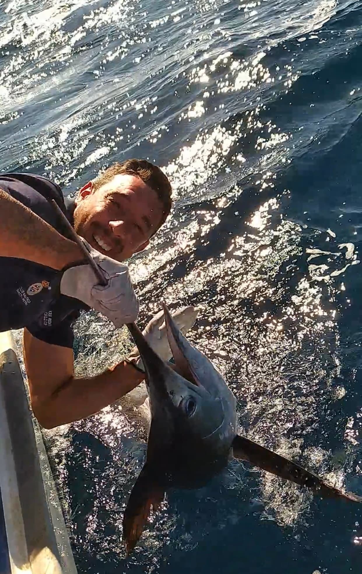 Pesca del marlin