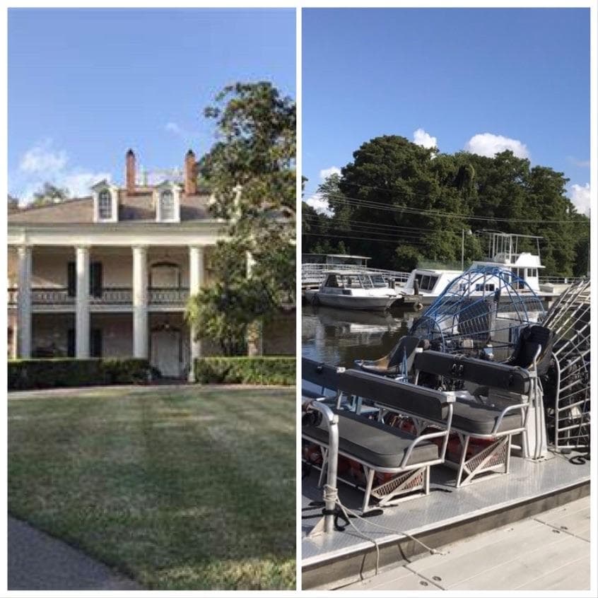 Large Airboat Swamp Tour & Oak Alley Antebellum Plantation