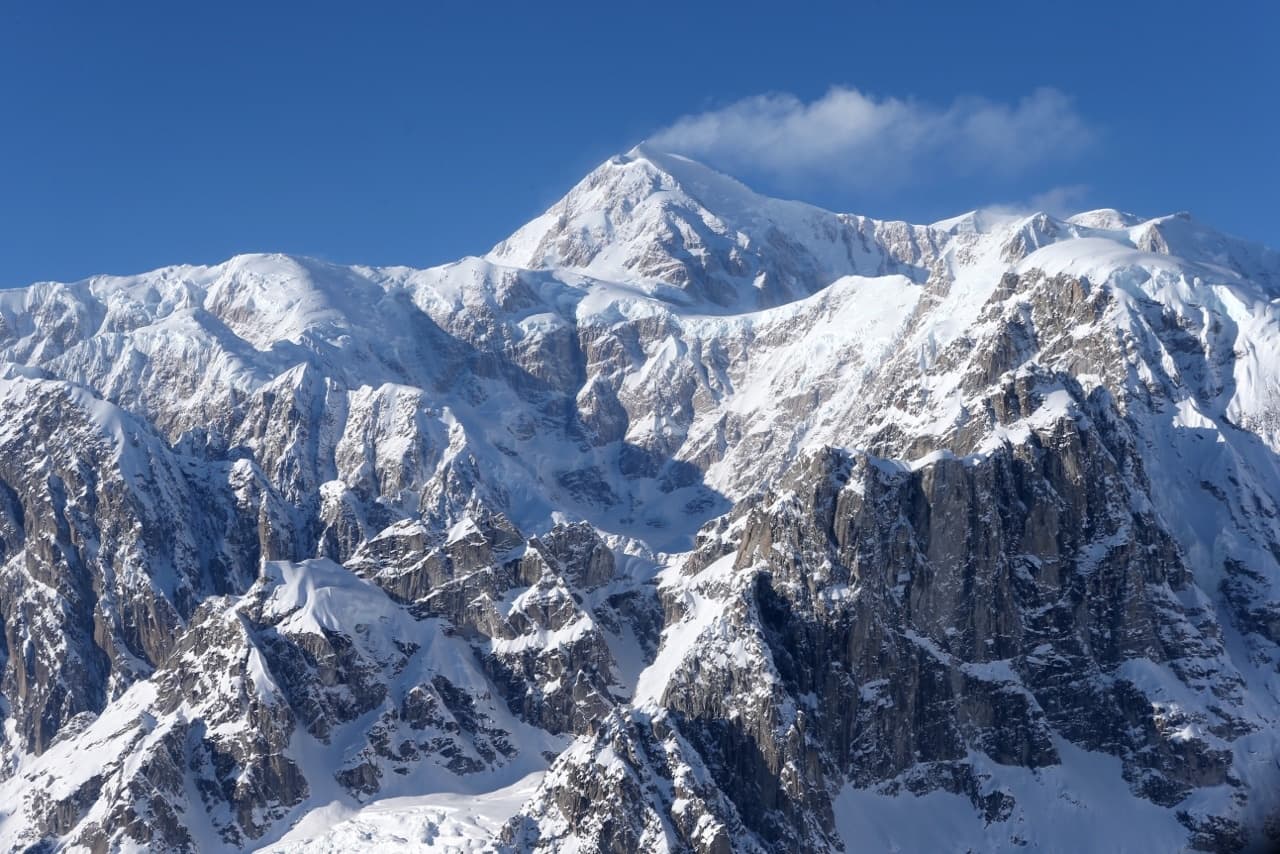 Denali Experience Tour