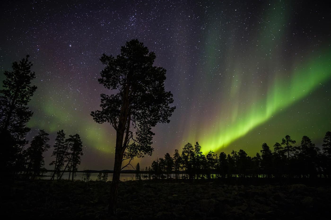Aurora Hunting by minibus tour, 2 h