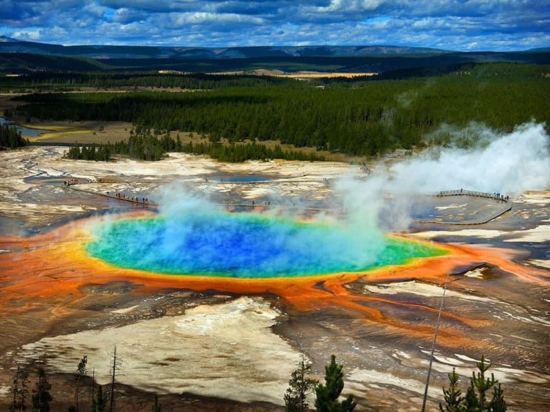 Yellowstone Lower Loop Tour (Jackson Hole)