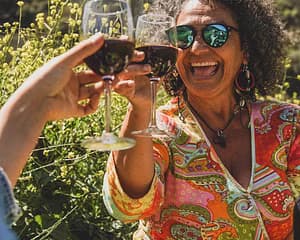 Visita guiada y cata de vinos en la Bodega Los Lirios