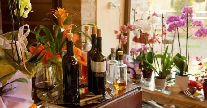 Visita dei vigneti, campi d'oliva e degustazione