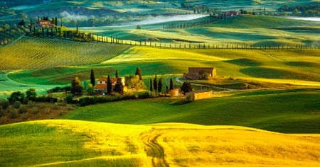 Shared Small Group up to 8 people - CHIANTI WINE TOUR & visit SAN GIMIGNANO medieval town