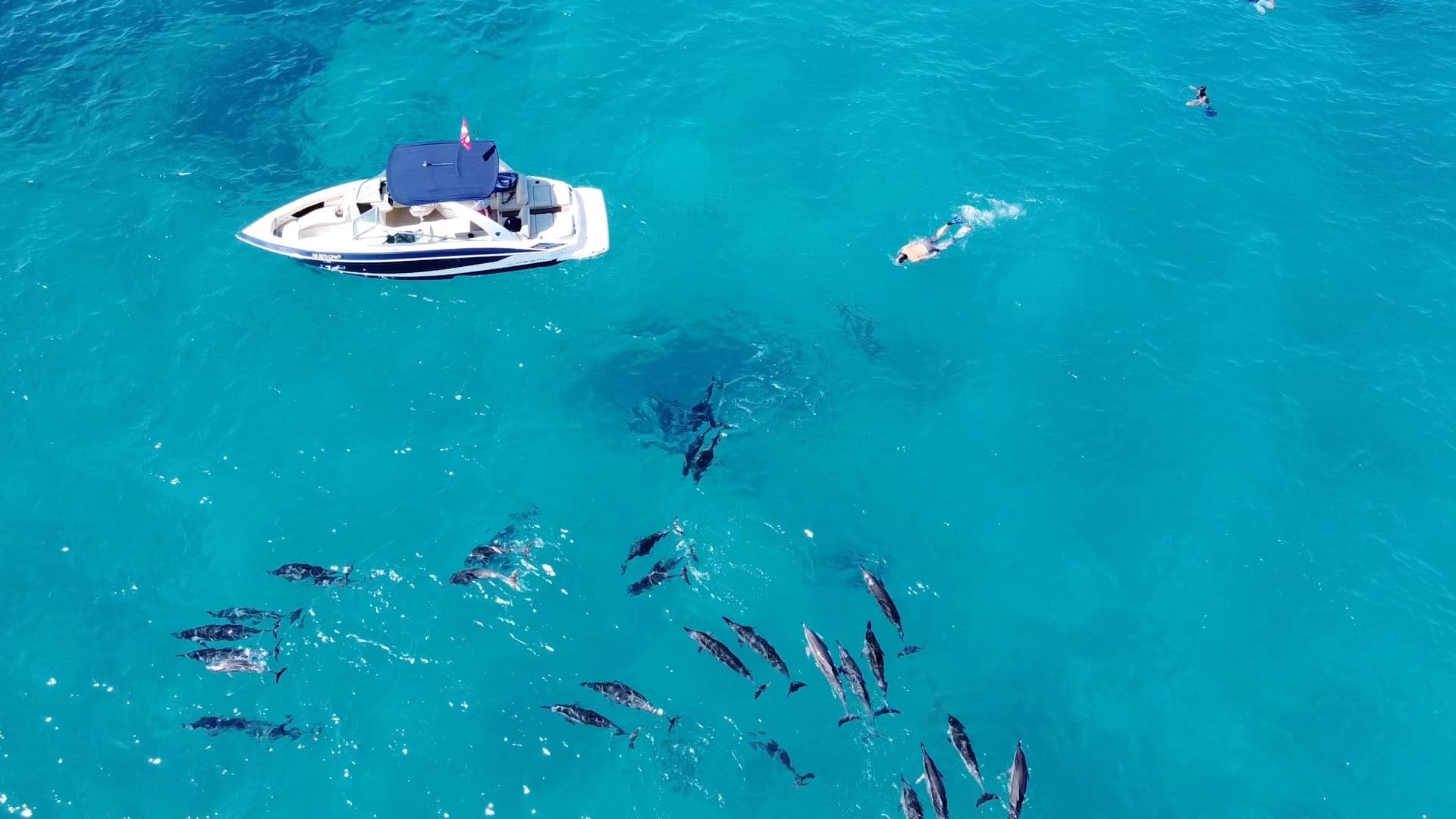 Private Morning Charter