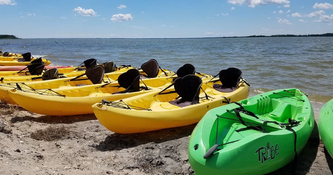 Two Hour Watersports Rental - Bayside Stand
