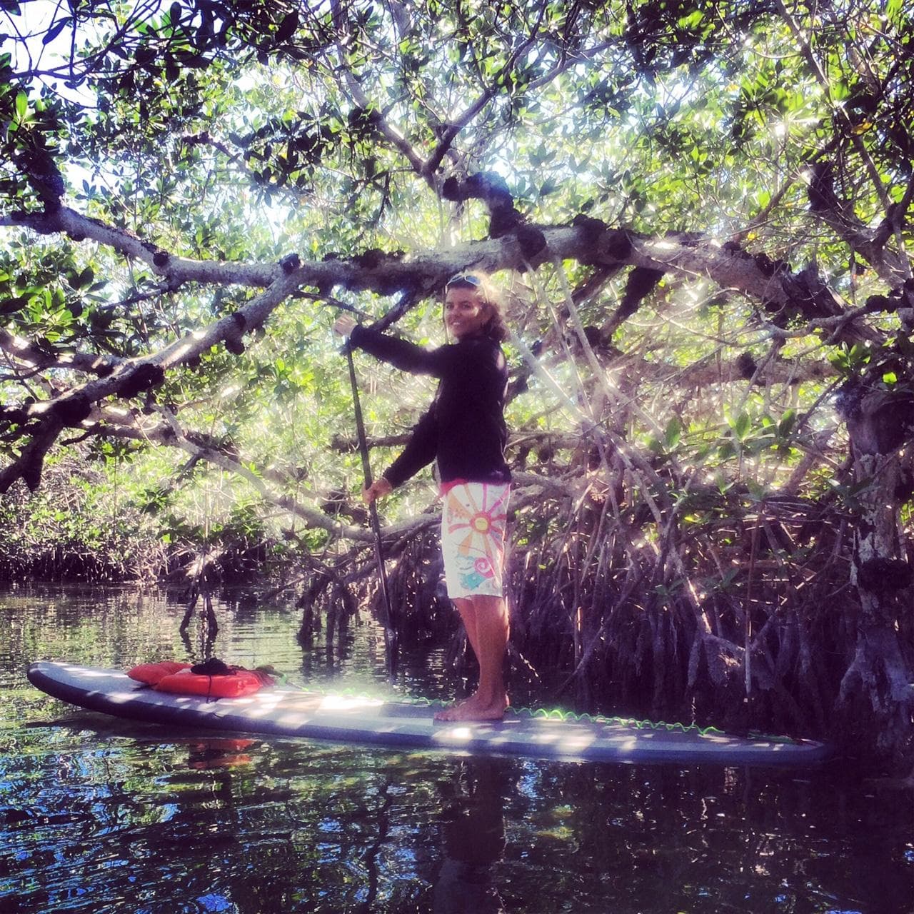 2 Hour Paddleboard Eco Tour
