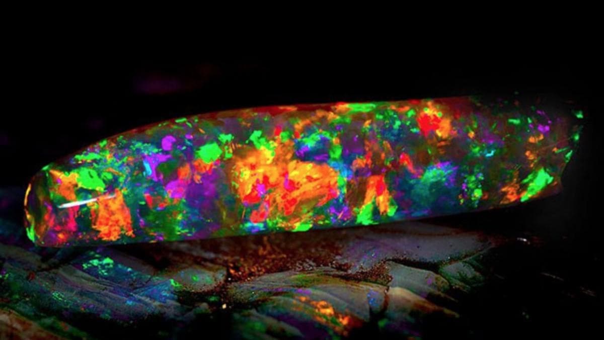 Opal Birthday Party