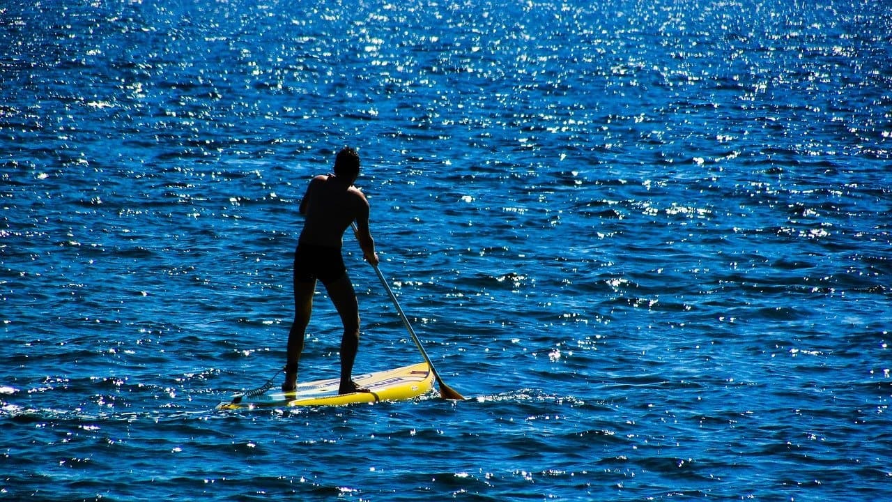 Paddle Board Tour