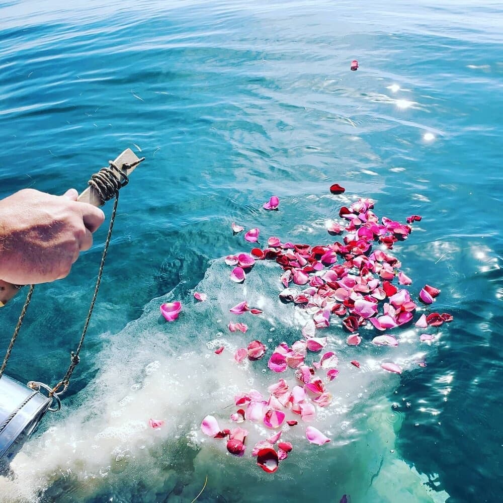 Ashes At Sea/Ocean Ash Scattering
