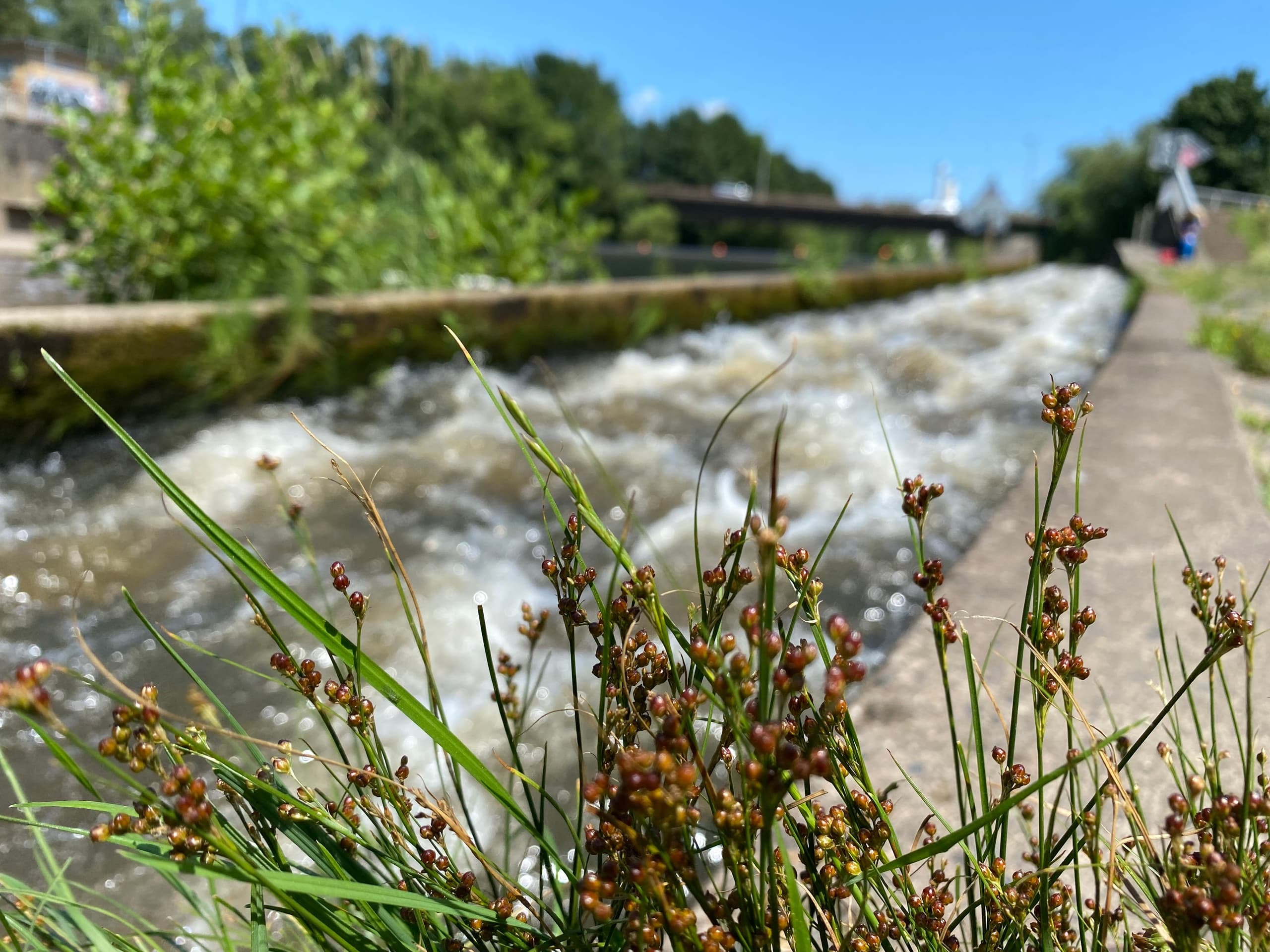 5-Tagestour ab Gießen 2. Wehr bis Limburg