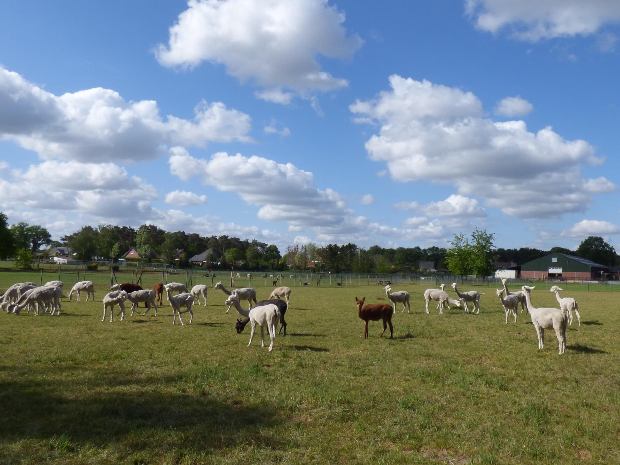 Excursie met Barbecue (vanaf 20 personen)