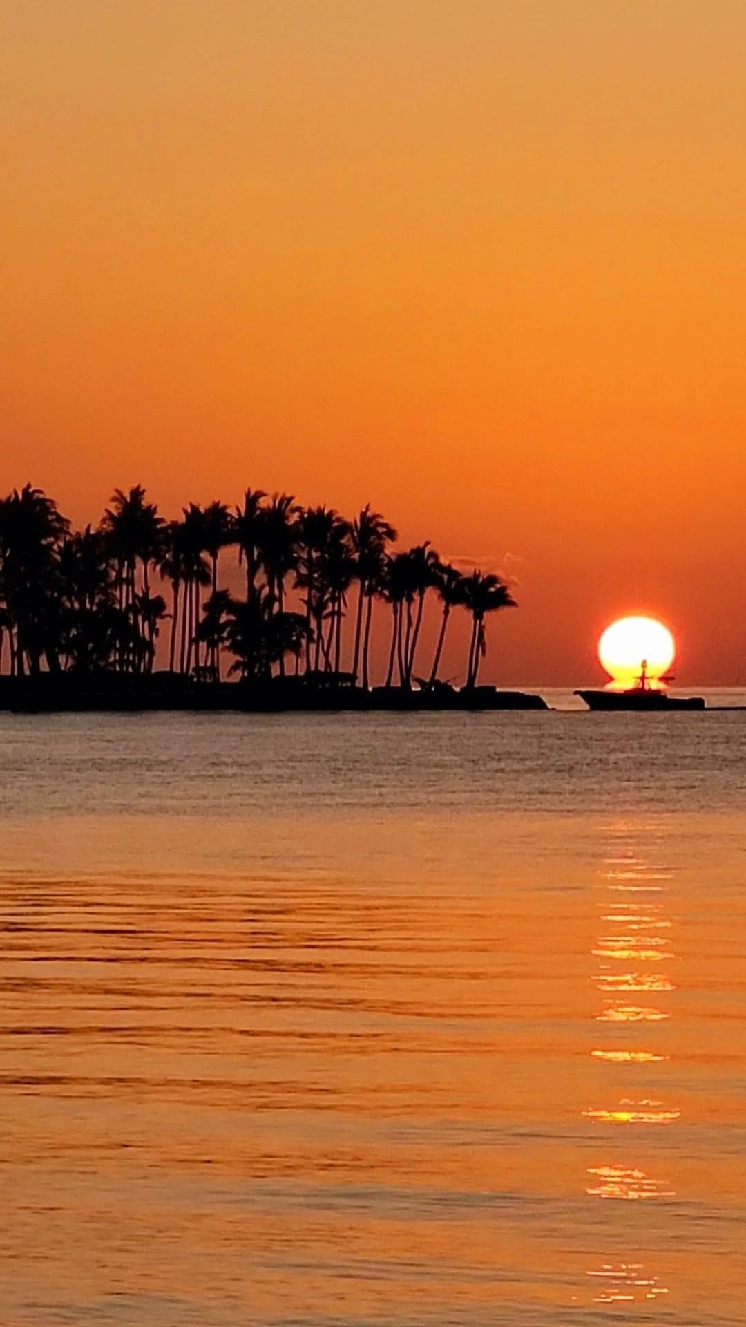 Rum Runner (16 passenger) Sunset Downtown Tour