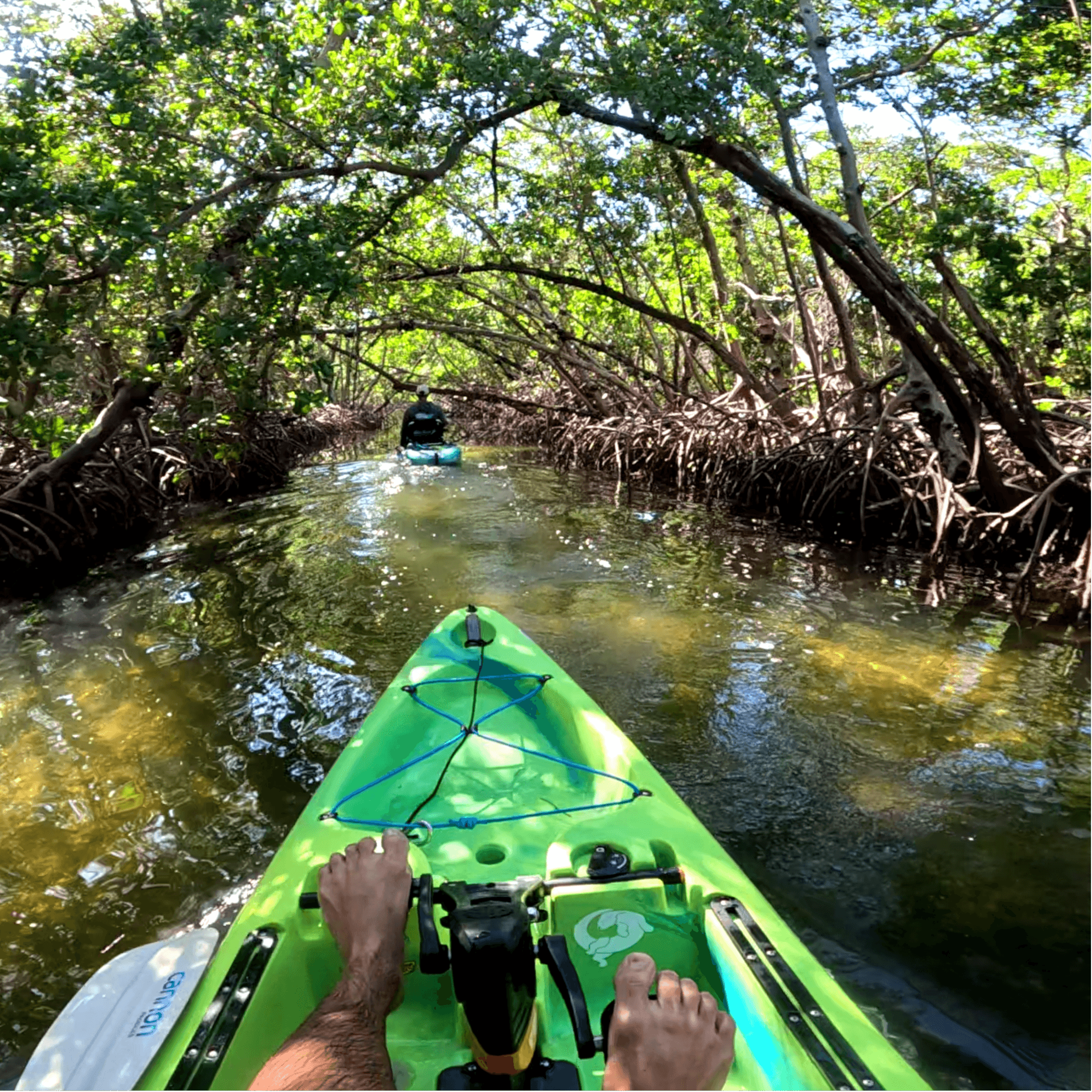 Mangrove Trail Pedal Kayak Tour (Terra Ceia Bay)