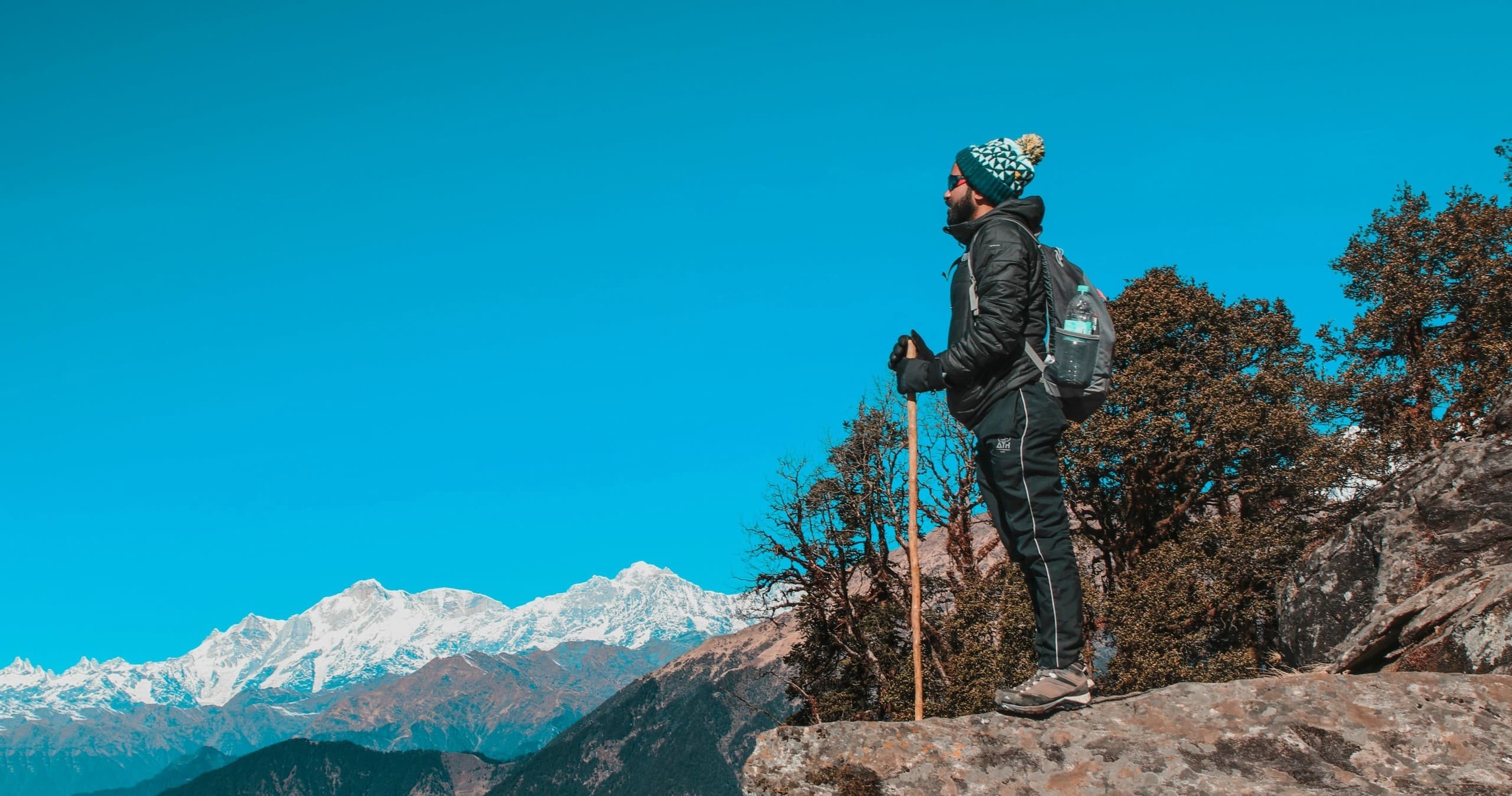 Trekking Poles