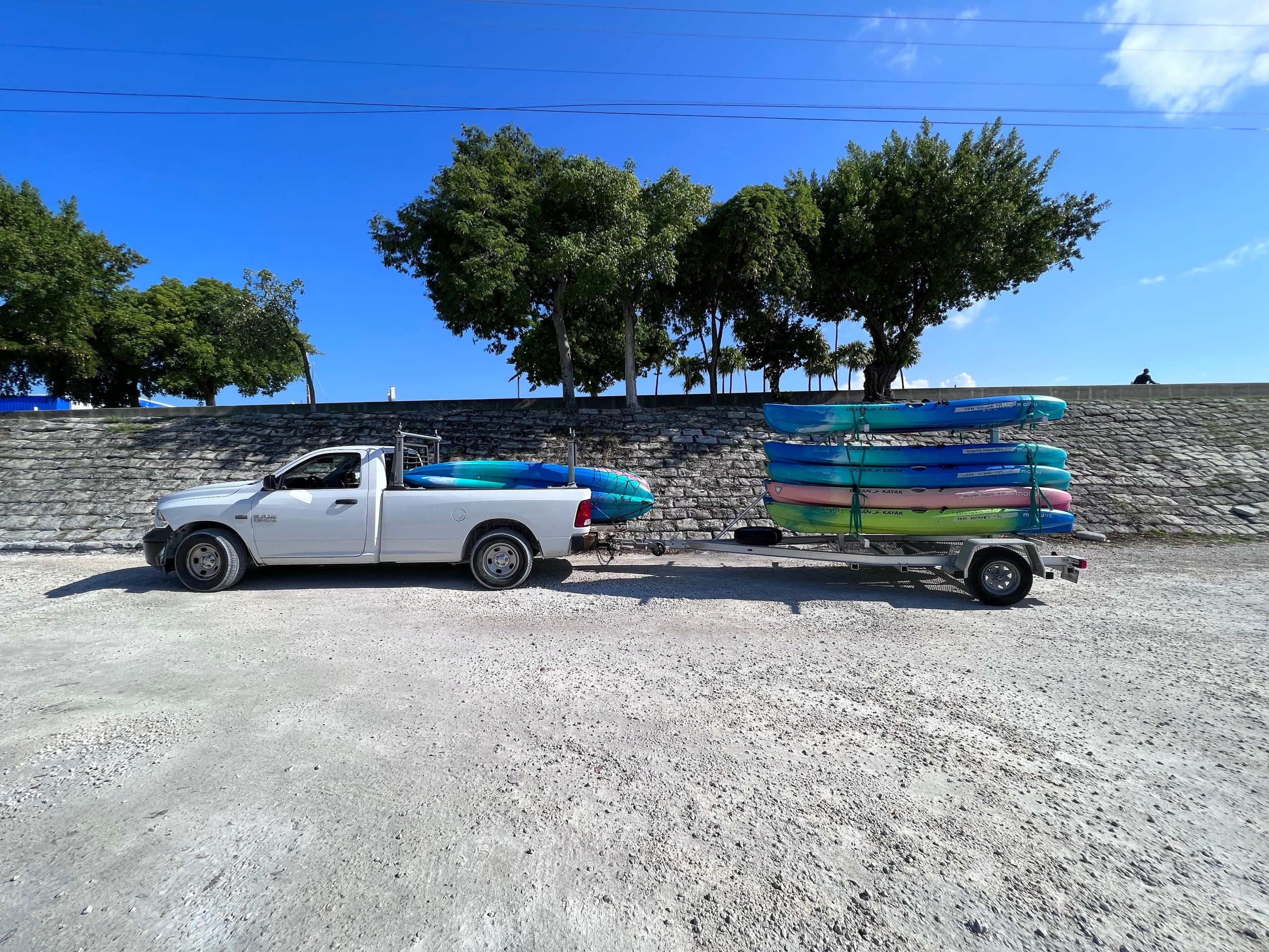 2 week rental