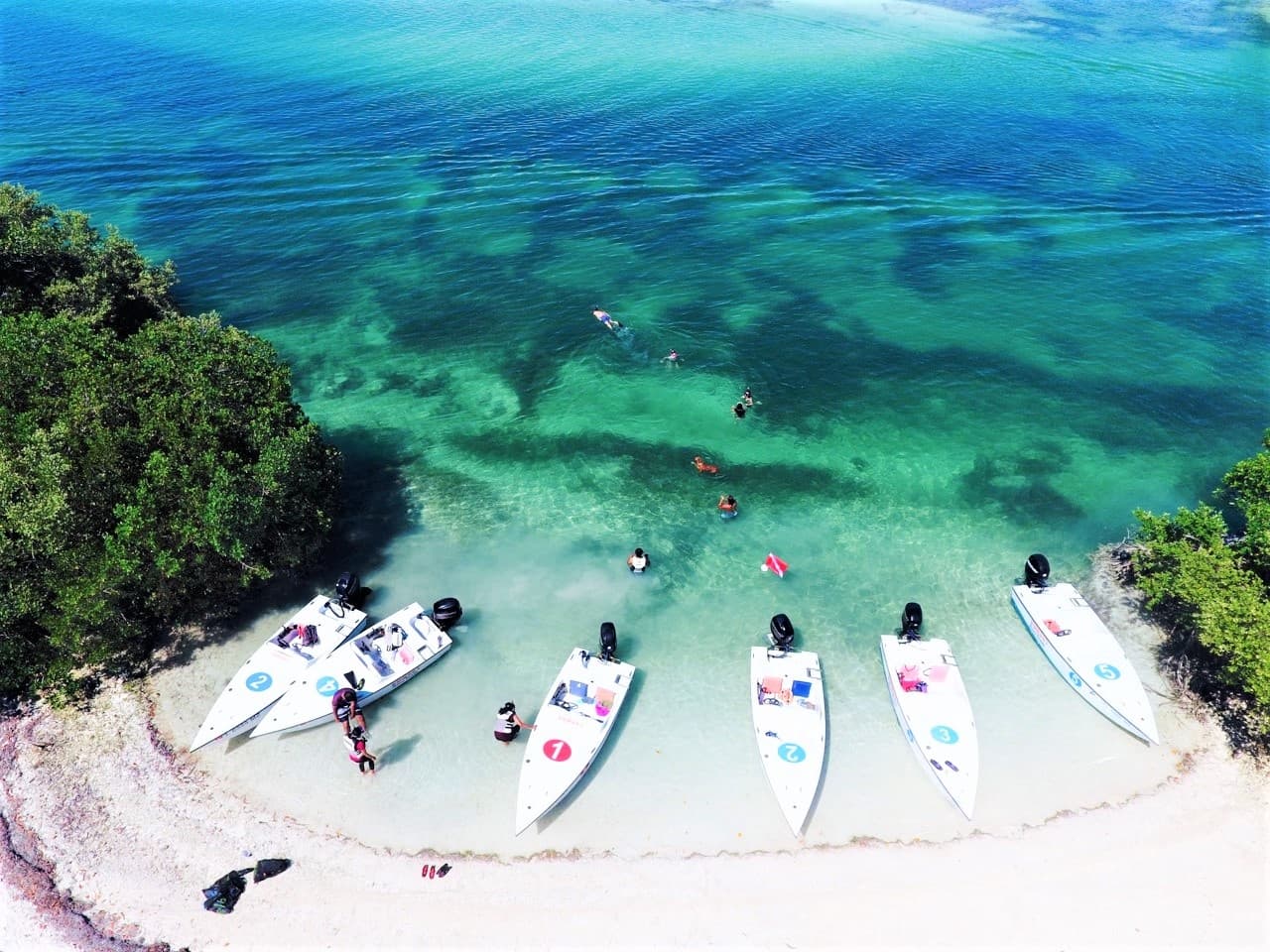 Safari Eco Sandbar Tour