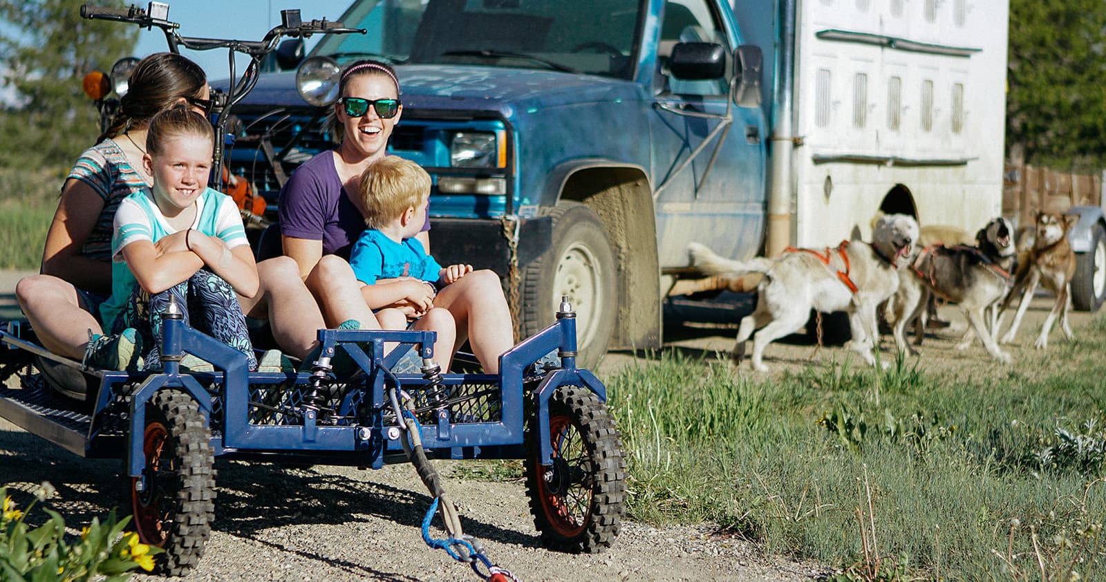 Dog Cart Tour