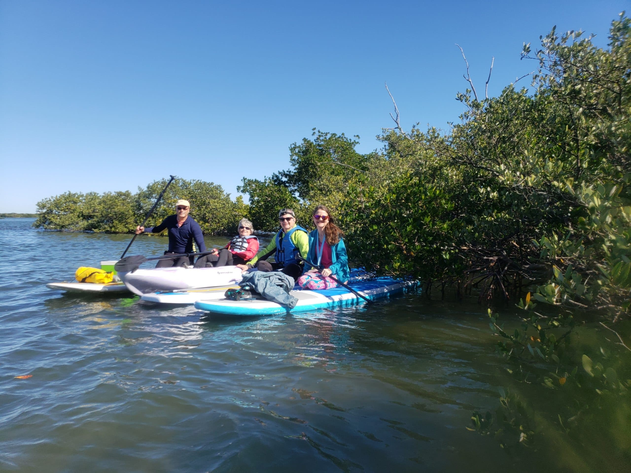 Paddleboard With Native Wildlife